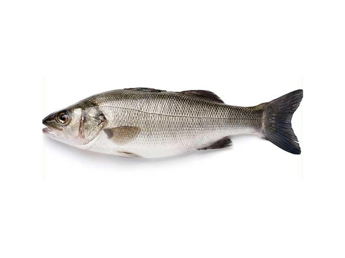 Arabind FRESH buy fish and meat online